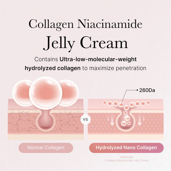 Plump & Hydrate - Collagen Jelly Cream